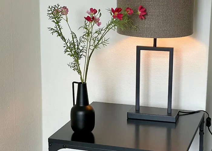 5p-home At Spot In Town Near Poppodium 013 דירה